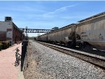 MWCX 480436